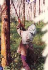 plantation workers, malaysia