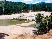 akarumbi