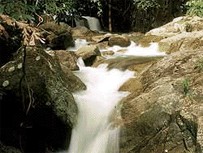 water