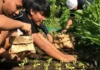 Budget 2027 must put food first: 10 ways to boost food security