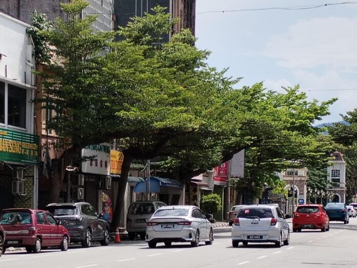 A tree-lined street in Ipoh