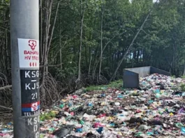 dumping ground at Sungai Merbok mangrove forest reserve