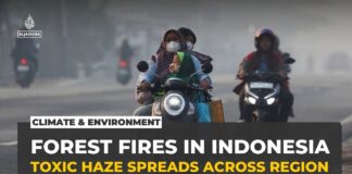 We are not angry enough! (Part 1): The haze is back, and so is the harm